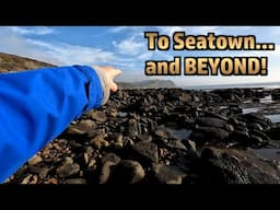 Seatown and Beyond!  Fossil Hunting Again