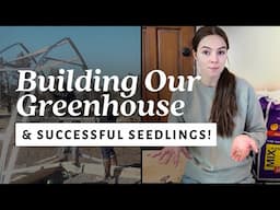 Flower Farm Update: Greenhouse Build & Seedling Success