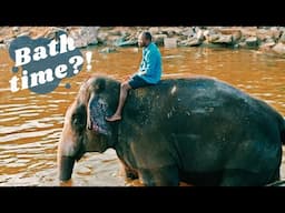 ELEPHANTS in HAMPI!! - Temple touring and elephant bathing in INDIA