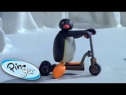 The NEW Scooter! 🐧 | Pingu - Official Channel | Cartoons For Kids