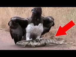 10 Animals With The Most Unusual and Strange Behaviors