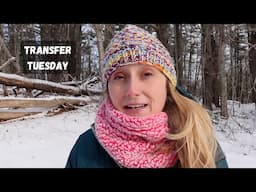 I was LAID OFF exactly one year ago! | Transfer Tuesday