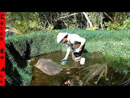 BUILDING My PET STINGRAYS a BACKYARD RISING STREAM in the RIVER!