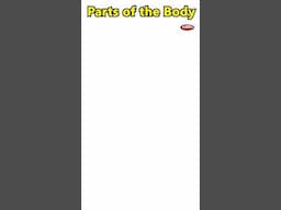 Parts of the body in English | External parts of a human body | Human anatomy | External body parts