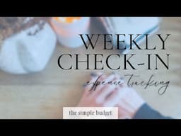 weekly check-in | expense tracking | what i bought this week | zero based budget