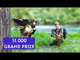 3 Days Remaining to Enter Our $5,000 Wildlife Photography Competition