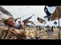 This is How To Trick Smart Geese Hiding Under Corn Ghillie Blankets!!