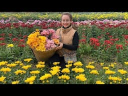 girl renovates and decorates the house for the new year with yellow chrysanthemums