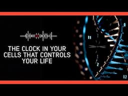 The clock in your cells that controls your life with Joseph Takahashi