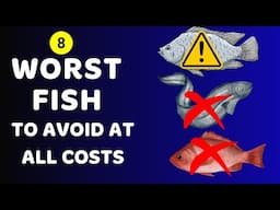 8 Worst Fish You Shouldn't Eat| Healthy Care