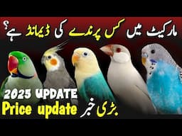 most demand birds of 2025 in  birds market | best profitable birds