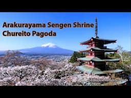 The most scenic spot to see Mt Fuji  - Arakurayama Sengen Park