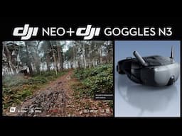 DJI GOGGLES N3