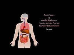 The Advanced Pathophysiology of Insulin Resistance, Metabolic Syndrome, and Cardiovascular Disease