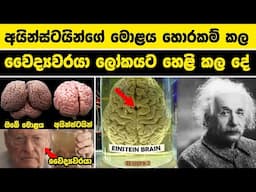 අයින්ස්ටයින්ගේ මොළය හොරකම් කල වෛද්‍යවරයා ලෝකයට හෙළි කල දේ | What Made Albert Einstein A Genius ?