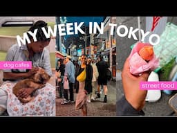 I went to Japan's dog cafes. Here's what happened!