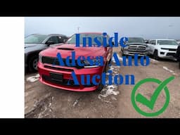 Car Dealer Auction Walkthrough | Inside ADESA Auto Auction Deals