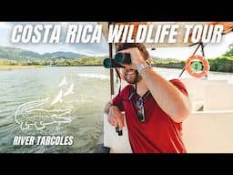 River Boat Tour on the CROC-INFESTED Tarcoles River | Costa Rica Nature Tour