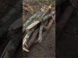 How to Make a Fire - Bushcraft Survival Australia