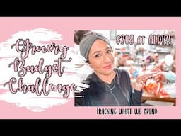 HOW MUCH DO WE SPEND ON GROCERIES? || GROCERY BUDGET CHALLENGE 2022 || FAMILY OF 6