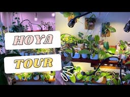 HOUSEPLANT TOUR | Fall 2020