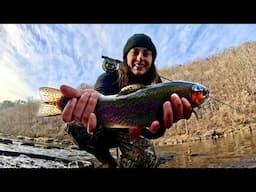 Trout Fly Fishing & Solo Van Camping on the Little Red River