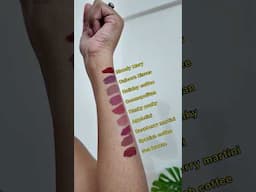 Loveearth Liquid lipstick swatches on dusky/Indian skin! Pack of 9 for 699😱