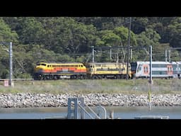 Streamliner diesel locomotive B75 & Alco 44206 - NIF transfer - Hawkesbury River - January 2025