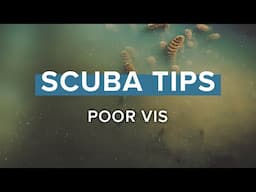 Poor Visibility | Scuba Tips | @simplyscuba