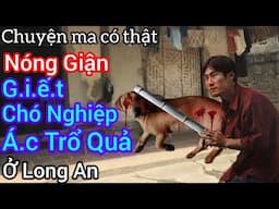 [Tập 1909] Nóng giận gi.ế.t chó nghiệp á.c trổ quả ở Long An/chuyện ma có thật