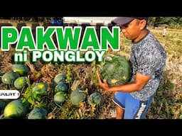 P1 - Pakwan ni Pongloy - EP1685