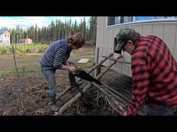 Repairs after Moose on the Loose and Foraging Adventure on our Alaskan Homestead