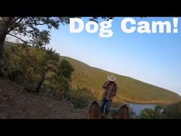 Unboxing GoPro Fetch- A Day In The Life Of My Dog- POV Video on Our Homestead- Funny!