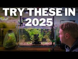 10 Tips to Elevate Your Aquarium Keeping Hobby in 2025