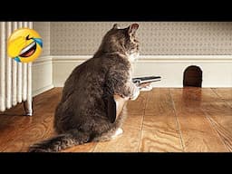 New Funny Cat and Dog Videos 😹🐶 Funniest Animals 🤣