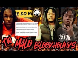 Malo Shot & Killed Inside House | Bloodhounds Diss FBG Brick & Duck 😱