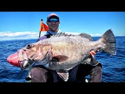 I CAUGHT MY DREAM FISH - Bass (Grouper) From a Kayak