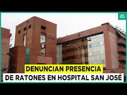 La compleja crisis de salubridad en el Hospital San José: Hay ratones en pabellones