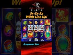 3x-3x-3x Wilds Line Up in Prosperous Lion Money Charge Boosted slot #shinobislots #shorts #shortfeed