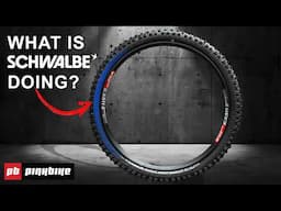 How Does Schwalbe's Radial Casing Work, and Does it Actually Make Any Difference?