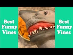 The Shark Puppet Most Viewed Tik Tok Video