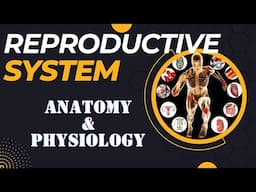 The Reproductive System || Anatomy & Physiology|| Nursing ||