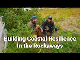 Building Coastal Resilience in the Rockaways