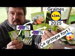 Graines Lidl 2025 : l'étoile a pali !