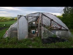 Beautiful Tiny House Farm Stay in Quebec, Canada 🏠🌳 Ferme Thuya Airbnb