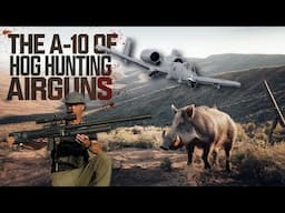 The A-10 Of Hog Hunting Airguns