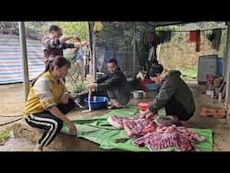 Wild boars grow slowly, after 2 years only 80kg can be sold, wild boar meat is for Tet. ( Ep 334 )