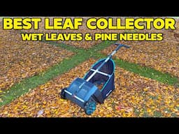 BEST Way to Pick Up wet leaves & pine needles