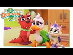 Turtle Drops Big News! Prepare To Be Amazed! 🐢 Animal Hospital Vet 🐾 Kid-friendly Animal Cartoons