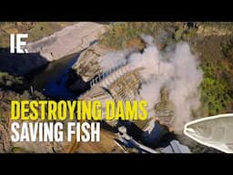 Klamath River Dam Removal: The $500M Fight to Save Salmon